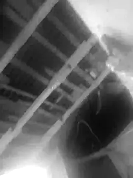 Snapshot of Jerryhottt chatting on November 2025 03:18:02 AM Jerryhottt online show from November 2025 03:18:02 AM