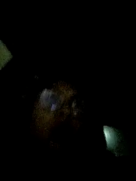 Caroll Luna online show from December 2024 04:30:02 AM