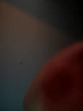 lolabun247 online show from November 2025 10:50:02 AM