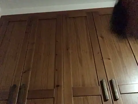 Dicksexhandjob online show from December 2024 12:23:01 AM