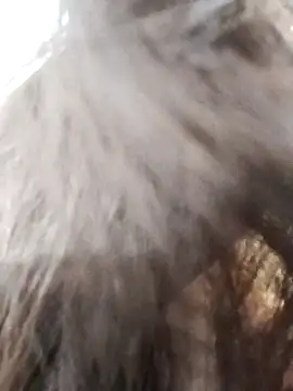 Snapshot of Kiritika_1 chatting on March 2026 02:39:01 AM Kiritika 1 online show from March 2026 02:39:01 AM