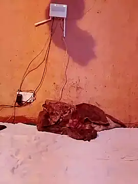 cute naimah online show from December 2025 06:15:01 PM