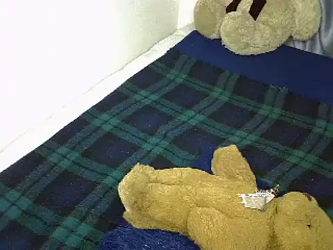squirtty booty online show from February 2025 07:58:02 PM