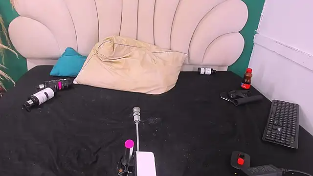 Snapshot of bonieklent chatting on February 2025 06:28:01 AM bonieklent online show from February 2025 06:28:01 AM