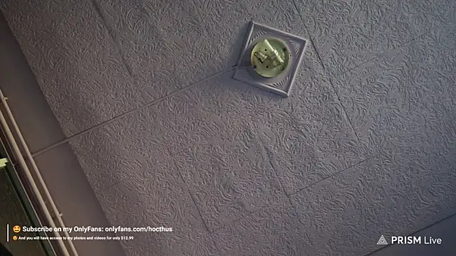 Snapshot of _Hocthus_ chatting on March 2025 04:01:01 PM Hocthus online show from March 2025 04:01:01 PM