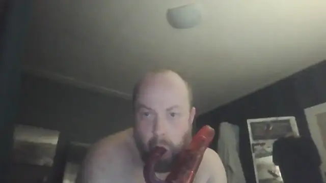 Snapshot of Prehistorixxx2686 chatting on February 2026 11:21:02 PM Prehistorixxx2686 online show from February 2026 11:21:02 PM