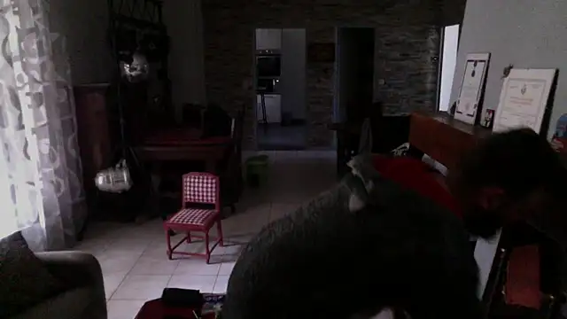 pachapeter online show from February 2025 01:42:02 PM