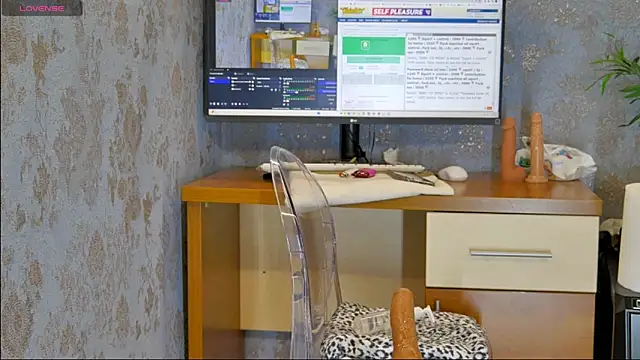 YourBurnWish online show from March 2025 07:25:02 AM