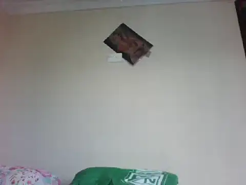 Snapshot of LITLESTAR chatting on March 2025 08:29:02 PM LITLESTAR online show from March 2025 08:29:02 PM