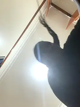 Snapshot of sweet18creamybigpussy chatting on November 2025 08:09:01 PM sweet18creamybigpussy online show from November 2025 08:09:01 PM