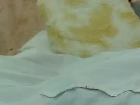 Snapshot of hairy_pussywet chatting on February 2025 12:40:01 AM hairy pussywet online show from February 2025 12:40:01 AM