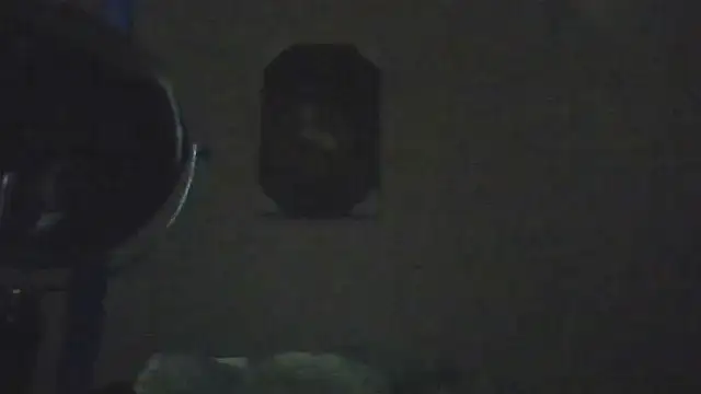 hailzeffn online show from May 2026 02:33:01 PM