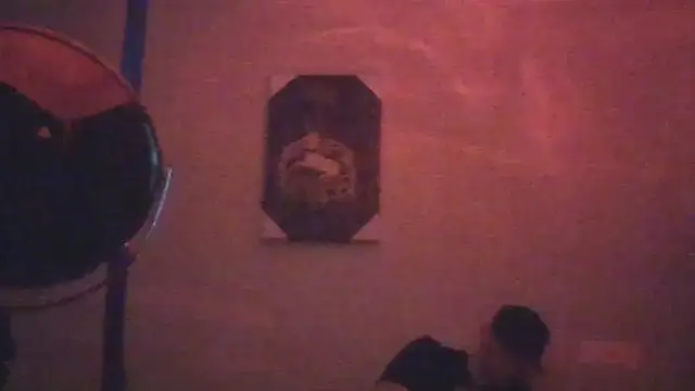 hailzeffn online show from May 2026 08:10:01 AM