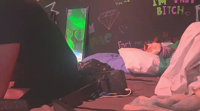 Snapshot of watermellonpussy chatting on January 2025 08:28:02 PM watermellonpussy online show from January 2025 08:28:02 PM