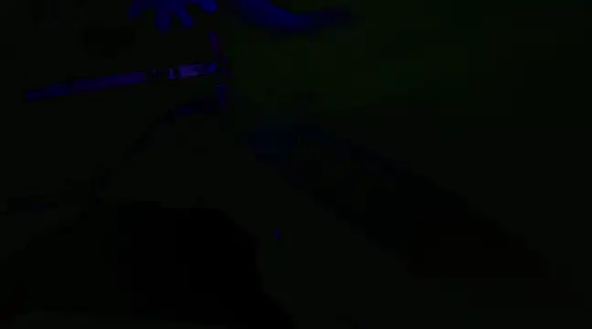 Snapshot of watermellonpussy chatting on January 2025 03:54:02 AM watermellonpussy online show from January 2025 03:54:02 AM