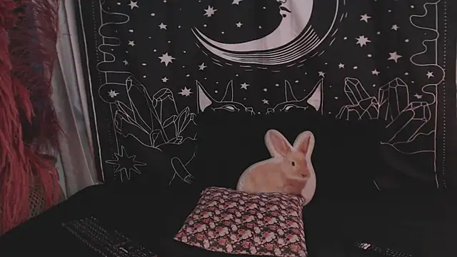 Isabella  dark online show from January 2025 11:14:02 PM