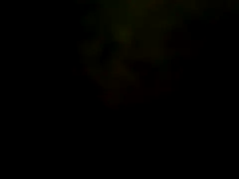 pinnklinkk online show from January 2025 08:29:01 AM