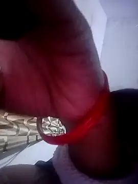 sakshisutra online show from December 2024 11:32:02 AM