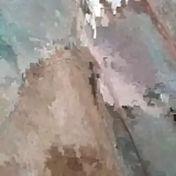 Snapshot of jockey2051992 chatting on March 2026 03:25:01 AM jockey2051992 online show from March 2026 03:25:01 AM