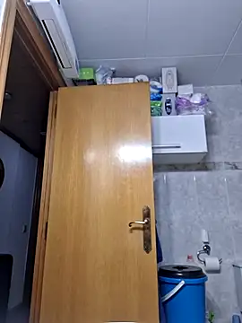 Javier bear online show from February 2026 02:01:02 PM