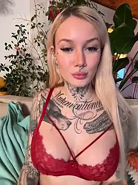 Snapshot of Stella-Kink chatting on February 2025 04:11:02 PM Stella-Kink online show from February 2025 04:11:02 PM