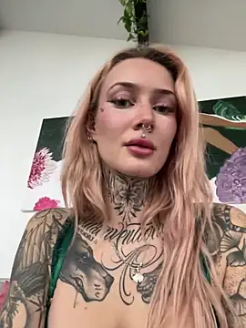 Snapshot of Stella-Kink chatting on February 2026 02:43:02 PM Stella-Kink online show from February 2026 02:43:02 PM