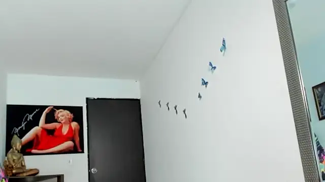 seleneh online show from March 2026 08:23:02 PM