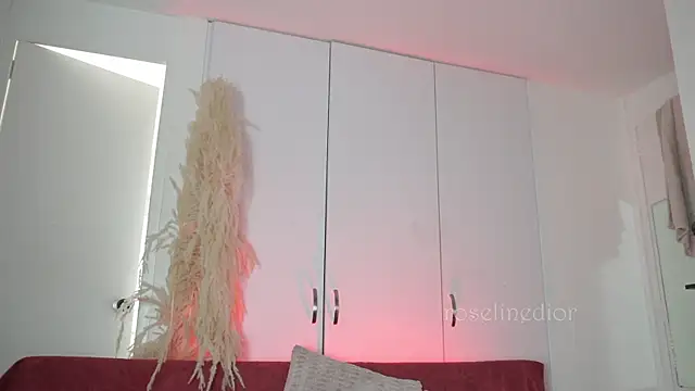 roselinedior online show from November 2025 04:17:01 PM