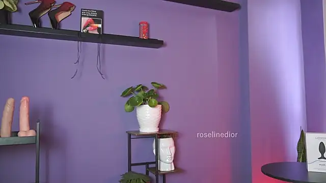 roselinedior online show from May 2026 02:45:01 PM
