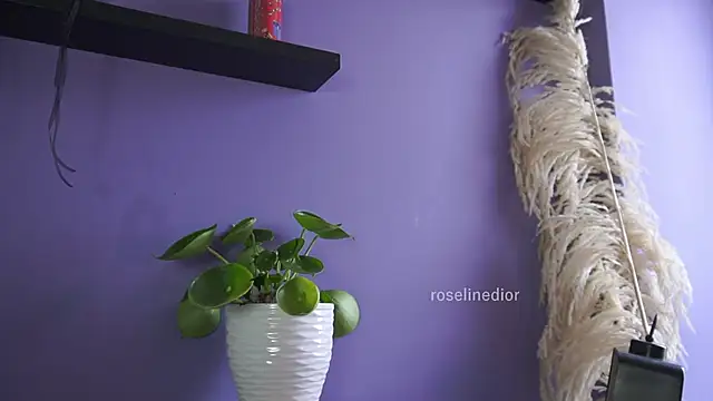 roselinedior online show from May 2026 04:24:01 PM