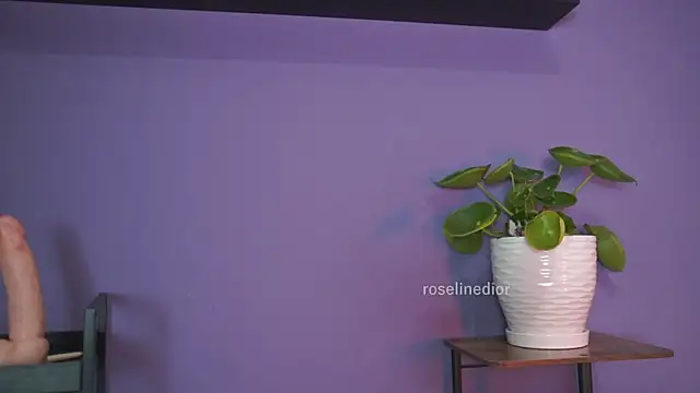 roselinedior online show from May 2026 01:29:02 PM