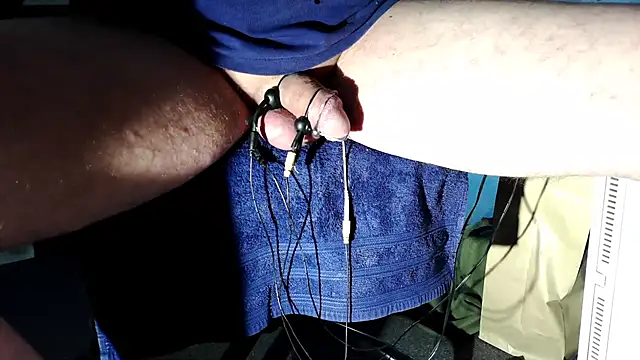 Camaroshelby online show from November 2025 09:39:01 AM