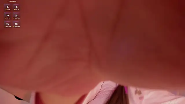 Snapshot of _mers chatting on January 2025 10:29:02 AM mers online show from January 2025 10:29:02 AM