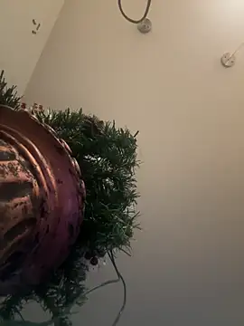 Sexy Little SlutAriel online show from December 2024 08:54:02 PM