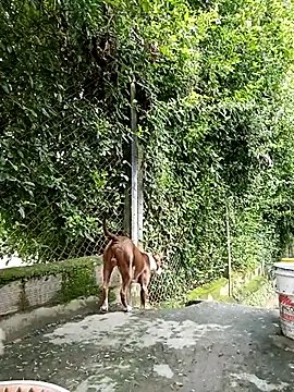 sebasxx97 online show from March 2025 08:10:02 PM