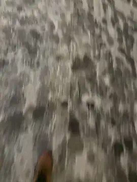 mightgogay online show from February 2025 04:54:01 AM