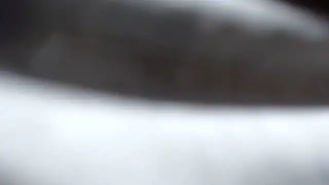 BERNINIBLUSHX89 online show from March 2025 04:03:02 PM