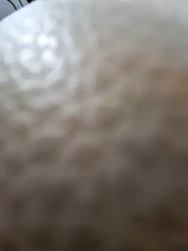 Snapshot of Kamarasa69 chatting on December 2025 08:53:02 AM Kamarasa69 online show from December 2025 08:53:02 AM