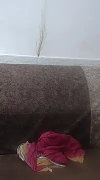 Snapshot of Aaradhya chatting on February 2025 03:33:02 AM Aaradhya online show from February 2025 03:33:02 AM