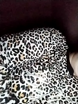 nayakaA7 online show from February 2026 09:52:02 AM