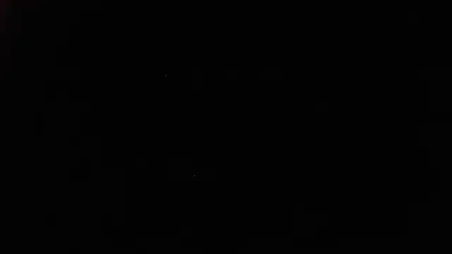 White daisy online show from January 2025 02:04:01 PM