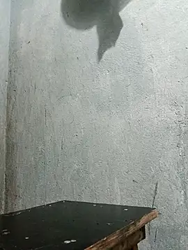 Sergipano fogozinho online show from December 2025 01:47:02 AM