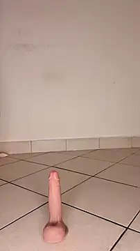 Snapshot of Perqueen chatting on November 2025 09:22:02 AM Perqueen online show from November 2025 09:22:02 AM