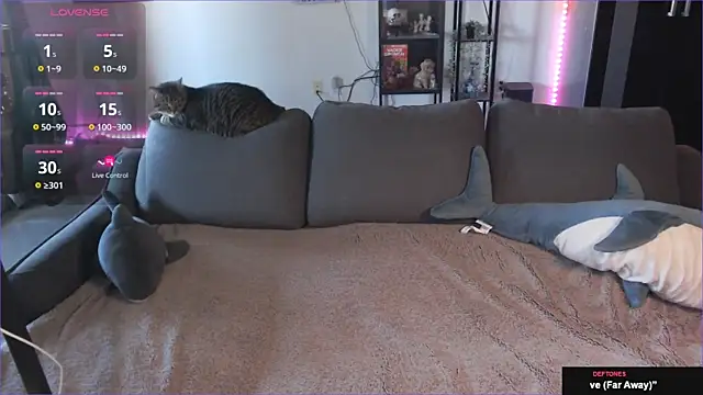 Clairedelilah online show from January 2025 08:32:01 PM