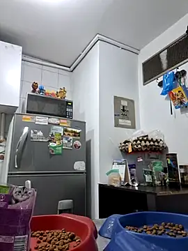 Snapshot of Hot_sophie_ chatting on February 2025 02:51:01 AM Hot sophie online show from February 2025 02:51:01 AM