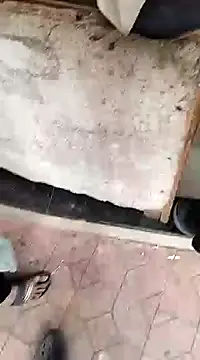 findmemylove online show from December 2024 07:33:02 AM