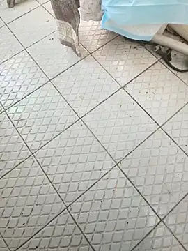 Snapshot of Beijing2000 chatting on November 2025 06:03:01 AM Beijing2000 online show from November 2025 06:03:01 AM