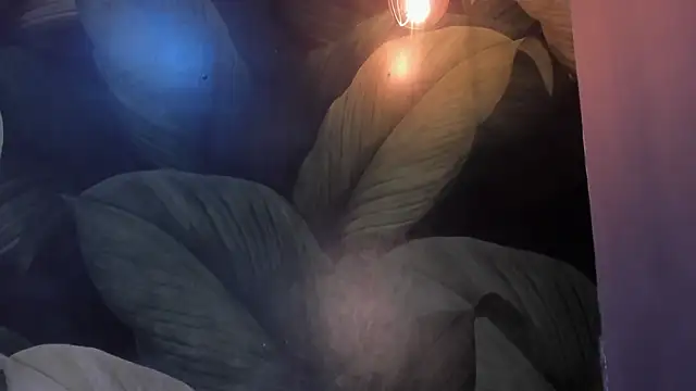 sweett dirty online show from March 2025 03:28:02 PM