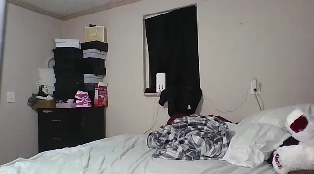 Snapshot of jaydadior chatting on March 2025 07:15:01 AM jaydadior online show from March 2025 07:15:01 AM