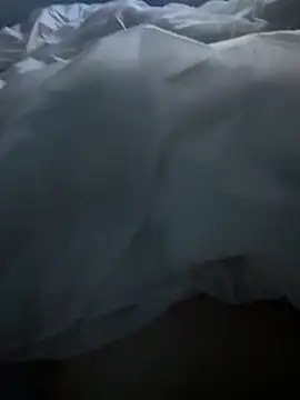 Snapshot of Pongobongo40 chatting on February 2026 01:37:02 AM Pongobongo40 online show from February 2026 01:37:02 AM